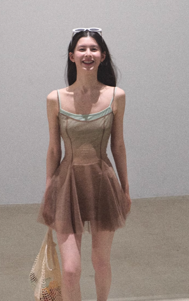 Gradient Mesh Spring Dress