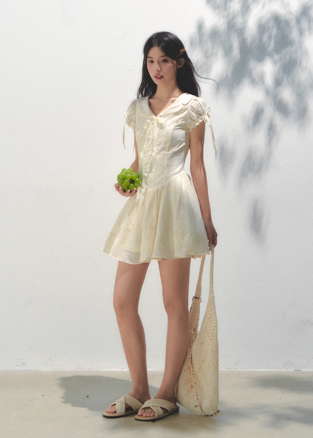 Embroidered Bubble Sleeve Tea Dress