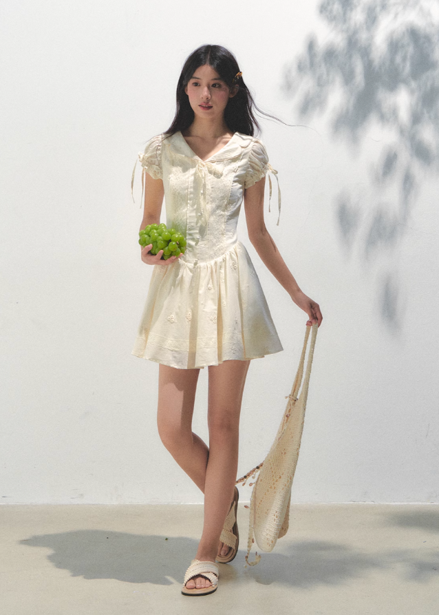 Embroidered Bubble Sleeve Tea Dress