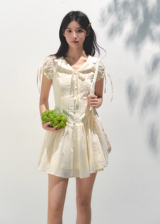 Embroidered Bubble Sleeve Tea Dress