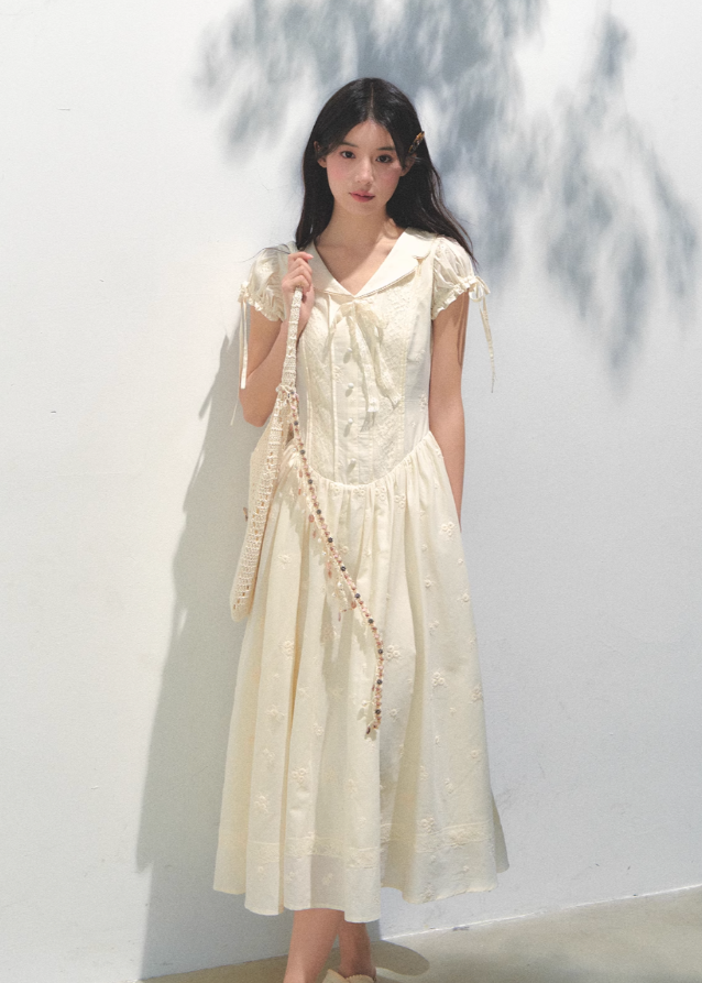 Embroidered Bubble Sleeve Tea Dress Main Image