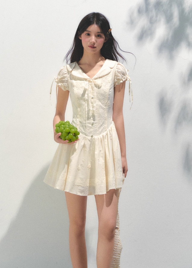 Embroidered Bubble Sleeve Tea Dress