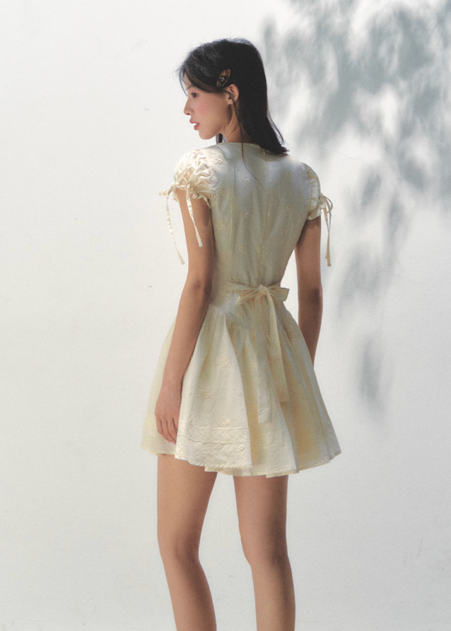 Embroidered Bubble Sleeve Tea Dress